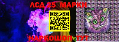 гашик Ливны