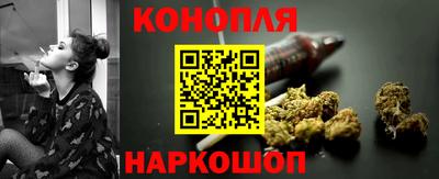 гашик Ливны