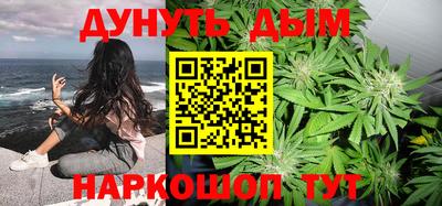 гашик Ливны