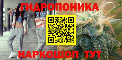 крисы Лесосибирск