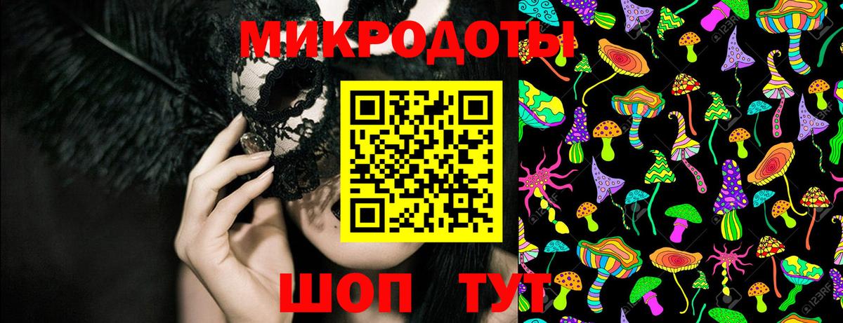 Псилоцибиновые грибы Cubensis  Вход с VPN  Кандалакша  Псилоцибиновые грибы Psilocybine cubensis 