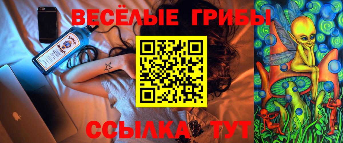 Псилоцибиновые грибы GOLDEN TEACHER Кандалакша